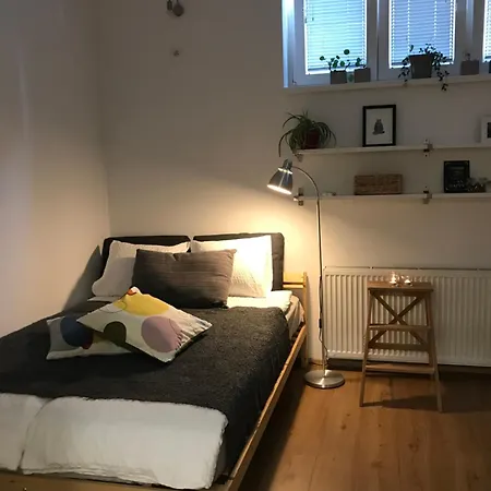 My Nest, 5 Minutes To The Dragon Bridge *